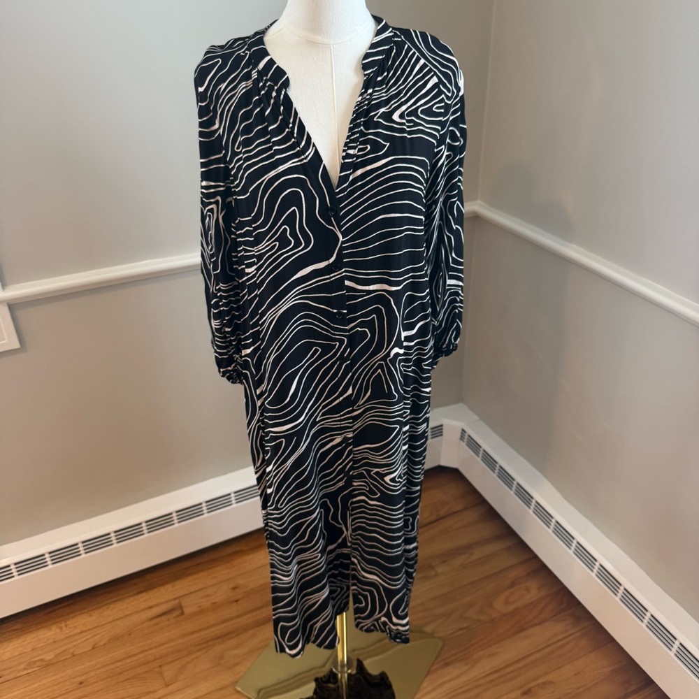 Zara Button Front Midi Dress